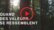 La Banque de Luxembourg : quand des valeurs se ressemblent.