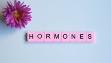France : Beaucoup de bonheur d’avoir cheminé avec le groupe du cycle ‘Hormonothérapie’ !
